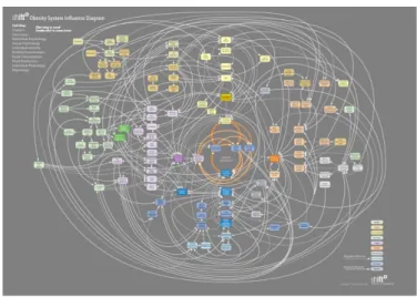 Figure 2.3 - Obesity System Influence Diagram, by ShiftN, 2008 6   