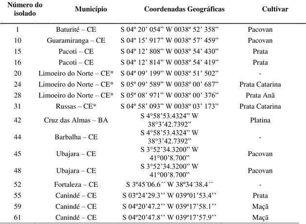 Tabela  1.  Isolados  de  Bacillus  spp.,  coletados  da  rizosfera  de  bananeiras,  cultivadas  comercialmente  e  não  cultivadas,  nas  diferentes  áreas  de  produção  dos  Estados  do  Ceará, Rio Grande do Norte e Bahia