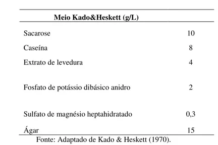 Tabela 2. Composição do meio Kado &amp; Hesket 523 (1970).  