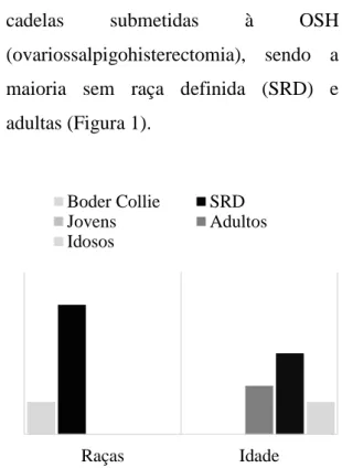 Tabela  1.  Parâmetros  avaliados,  para  Avaliação  do  Processo  de  Cicatriação  de  Feridas Cirúrgicas