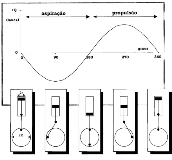 Figura 1.4: Representação esquemática da bomba de pistão ou de fluxo  sinusoidal. Padrão de escoamento gerado pela bomba 