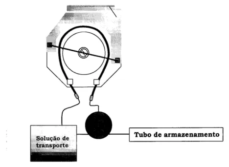 Figura  2 . 1 : Representação esquemática do circuito de sincronização dos  movimentos peristálticos entre etapas analíticas
