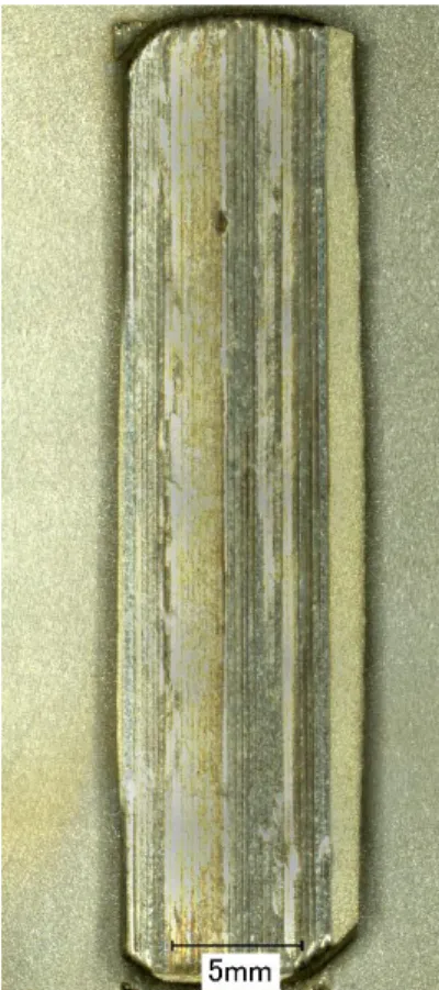 Figura 4.8  –  Placa obtida por fundição por sucção após o tratamento de  refusão superficial a LASER com potência de 300 W, velocidade de varredura 