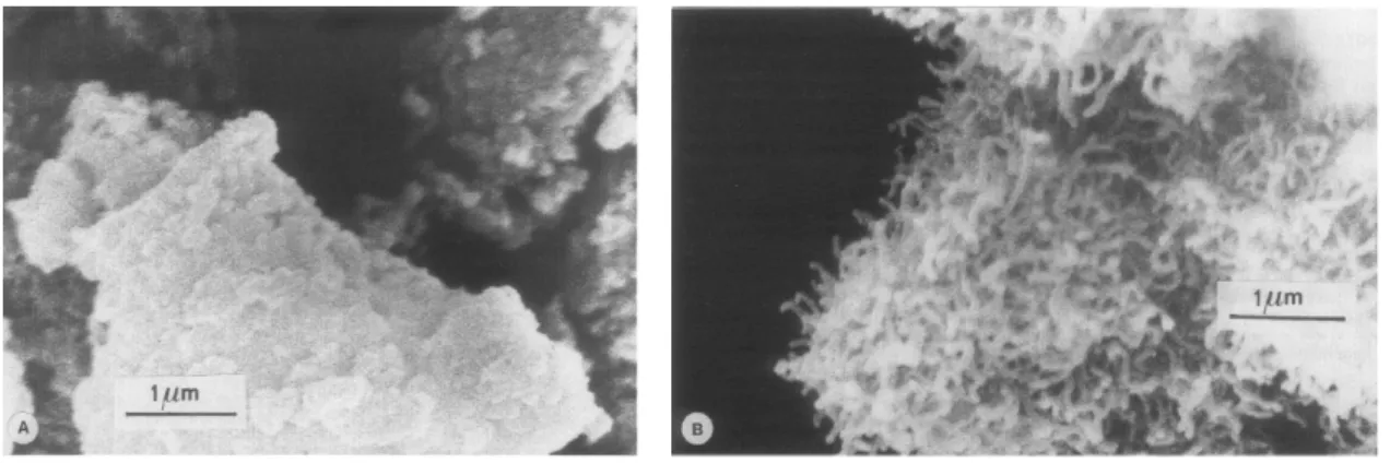 Figura 2.16: Resultados de microscopia de varredura do coque formado sobre o catalisador com 10% de níquel  calcinado a 400°C, avaliado na condição de teste (A) antes do ponto de ruptura, 430°C; (B) após o ponto de  ruptura, 450°C, por 1 hora, adaptado de 