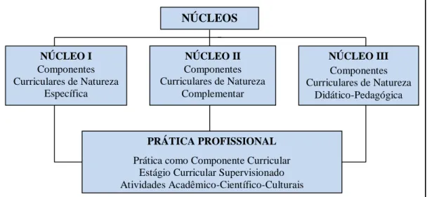 Figura 1  – Representação gráfica dos cursos superiores de licenciatura do IFRN   com ingresso até 2011.2 