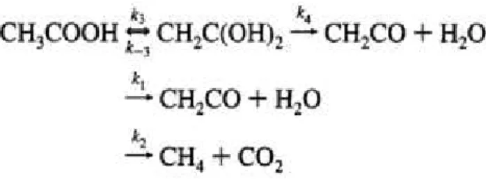 Figura 3.1. Esquema da formação de metano e dióxido de carbono (DUAN; PAGE, 1995). 