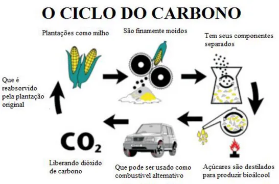 FIGURA 4: Ciclo do carbono no bioálcool (Adaptado de Shah e Sem, 2011) 