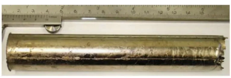 Figure 1 - Ingot of the UZrNb alloy.