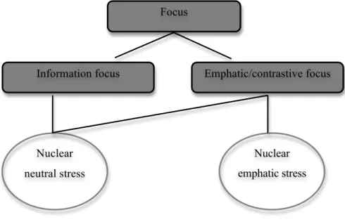 Figure 1. The relationship between focus and prosody (Zubizarreta 1998, 1999) 