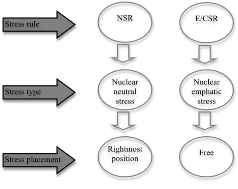 Figure 2. Effects of stress rules on stress placement 