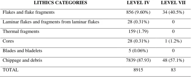 Table 2. Lithics counts for levels IV and VII. 