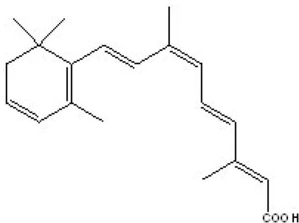 Figura 5 - Estrutura Molecular da Alitretinoina gel.