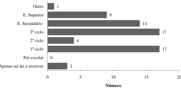 Figura 15 – Nível de escolaridade dos utilizadores do serviço educativo  30 174171491 0 5 10 15 20