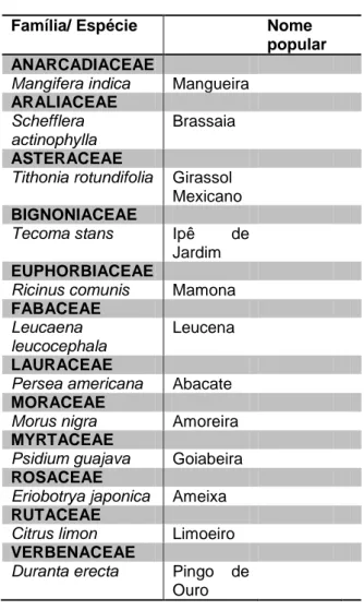 Tabela  1-  Lista  das  espécies  identificadas  no  fragmento  das  margens  do  Rio  Sapucaí
