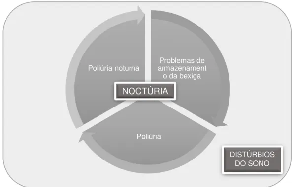 Figura  5.  As  três  causas  urológicas  de  noctúria,  muitas  vezes  correlacionam-se entre si e estão relacionados com distúrbios do sono