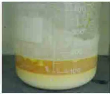 Figura 4.4: Gel polim´erico, gerado pela mistura da resina de ferro com TiO 2 .