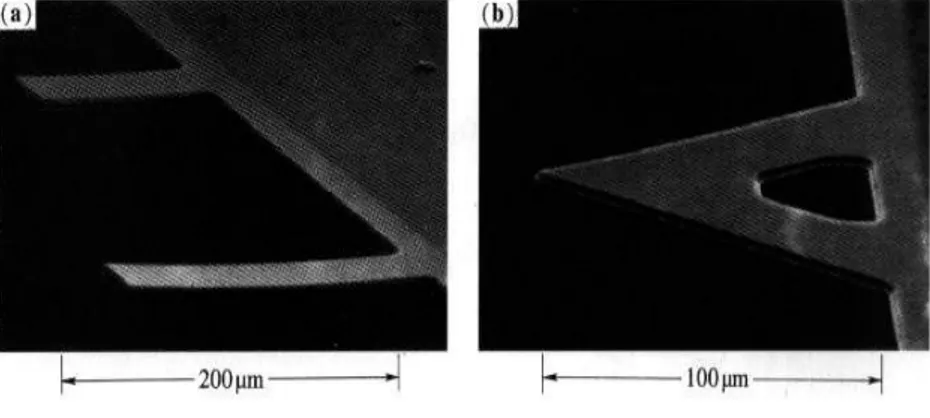 Figura 2 - Imagens obtidas de SEM de microcantilevers de SiO 2 . (a)  cantilever retangular