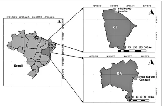 Figura 1 - Área de estudo no litoral do estado da Bahia (Praia do Forte e Camaçari) e no litoral do Ceará  (Praia Almofala e Volta do Rio).
