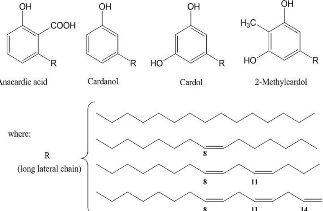 Fig. 1. Chemical structures of the main components of CNSL. 