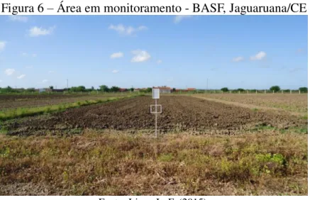 Figura 6  –  Área em monitoramento - BASF, Jaguaruana/CE 