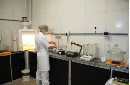 FIGURA 4  –  Laboratório de análises físico-químicas da fábrica. 