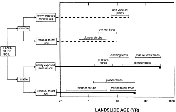 Figura 3.2 – Quatro propostas de padrões de sucessão vegetal diferentes, em  solos estáveis e instáveis, em movimentos de vertente (extraído de Walker et 