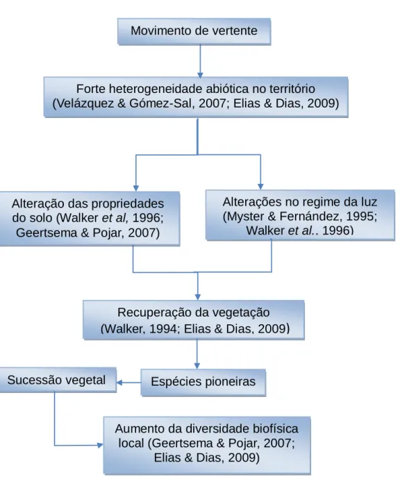 Figura 3.4 - Contribuição de um movimento de vertente para a diversidade  biofísica local