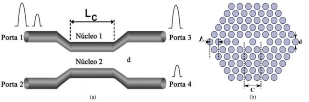 Figura 3. Esquemático de um acoplador duplo simétrico.  (a) Esquema de um acoplador de fibra de 2 núcleos