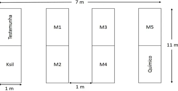 Figura  1  –   Croqui  da  área  experimental.  Testemunha  indica  o  tratamento  onde  nada  foi  aplicado  para  controle  dos  pulgões,  M1  a  M5  indica  as  diluições  de  manipueira  em  ordem  crescente  (razões  1:30,  1:25,  1:20,  1:15  e  1:5)
