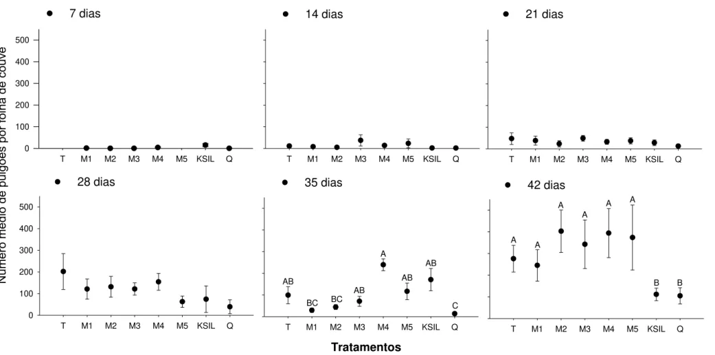 Figura 2.  Número médio de pulgões (Myzus  persicae) por folha de couve em diferentes intervalos de tempo após o transplantio
