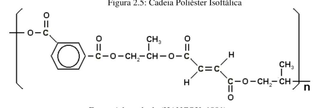 Figura 2.5: Cadeia Poliéster Isoftálica