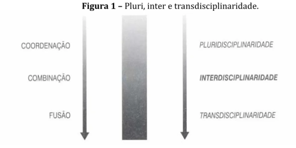 Figura 1 – Pluri, inter e transdisciplinaridade. 