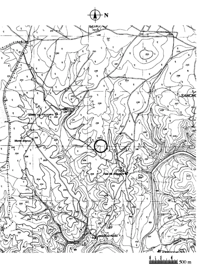 Fig 2 Palhinha 1 na Carta Militar de Portugal, 1:25 000.