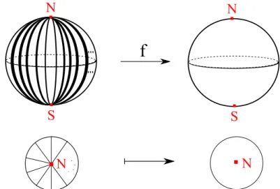 Figura 2.4: N e S são os pontos de ramicação de f .