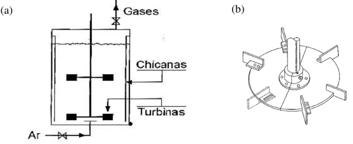 Figura  2.  (a)  Esquema  de  um  biorreator  tipo  tanque  agitado  e  aerado  e  (b)  de  uma  turbina tipo Rushton