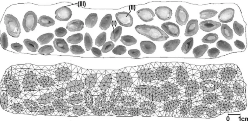 Fig. 1 presents the green beans package and the corresponding finite elements mesh. Heat transfer is assumed to occur by convection at the package surface and by conduction inside the package