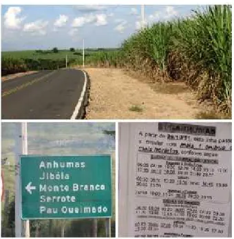 Foto 1. O caminho Na foto nº 1, a imagem revela a estrada percorrida da  cidade  de  Piracicaba, SP  para  o  bairro  de Anhumas