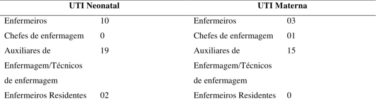 Tabela 1: Distribuição por categoria profissional dos sujeitos participantes da pesquisa