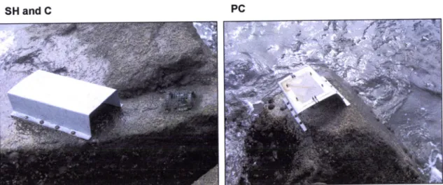 Figure  g.  Example oÍ one  replicate  oÍ each  treatment  of  the  manipulatíve  experiment  of thermal stress