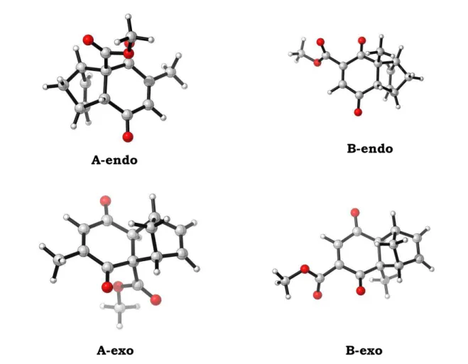 Figura 4: Estruturas otimizadas para os cicloadutos das reações de Diels-Alder  entre 2 e 16 