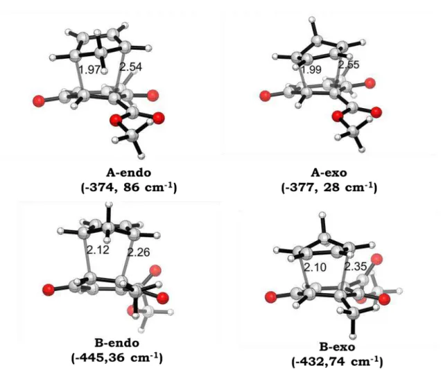 Figura 5: Estruturas otimizadas dos estados de transição das reações de Diels- Diels-Alder entre 2 e 16 (distâncias em angstroms) 