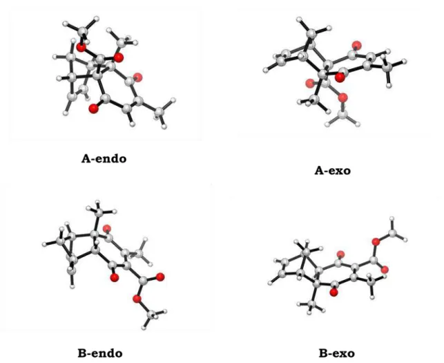 Figura 8: Estruturas otimizadas para os cicloadutos das reações de Diels-Alder  entre 2 e 18 