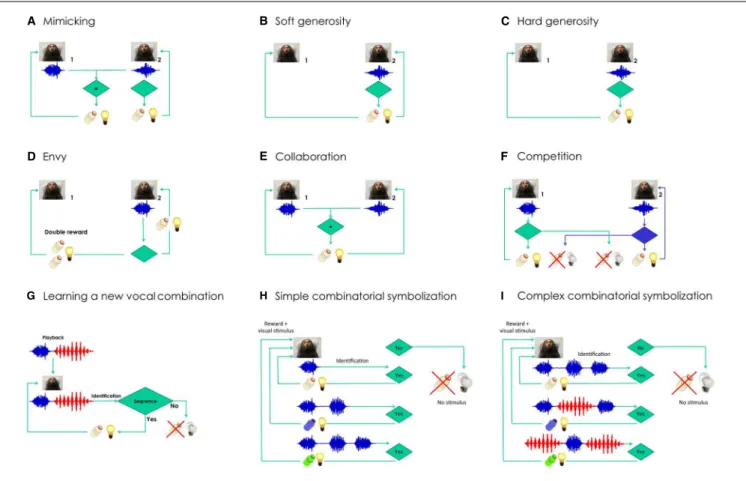 FIGURE 2 | Semiotic experiments using conditioned marmoset vocalizations. Does social identity matter for each of the experiments? Learning curves are expected to be steeper and shorter when the interacting animals are from the same family