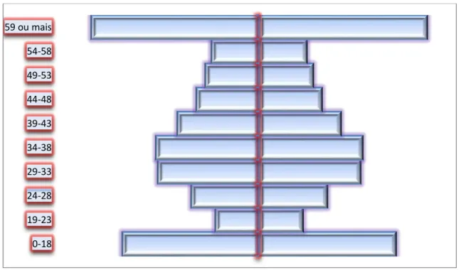 Figura 1  – Pirâmide etária dos beneficiários submetidos a internação na operadora durante  os anos de 2001 a 2010 