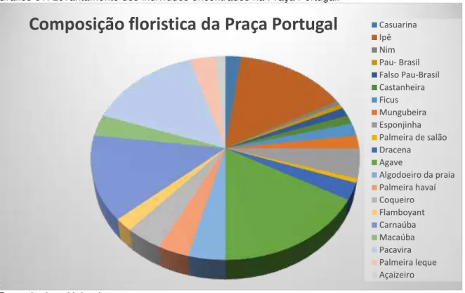 Gráfico 01: Levantamento dos indivíduos encontrados na Praça Portugal. 