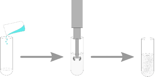 Figure 4. Representative diagram of the NLC synthesis process by a standalone ultrasonication technique