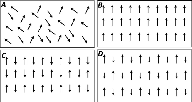 Figure 7. Possible orderings of magnetic moments: (A) paramagnetic; (B) ferromagnetic; (C) antiferromagnetic; and  (D) ferrimagnetic states