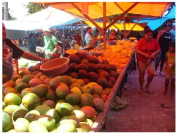 Fig. 10: Feira da Parangaba.  