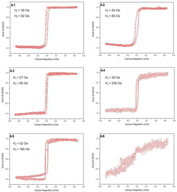 Figura 4.8: Curvas de histerese (MOKE )para filmes de Fe crescidos reativamente em diversas concentrações de N 2 .