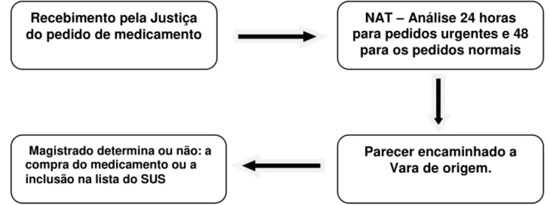 Figura 1 - Fluxograma do processo de avaliação do NAT 